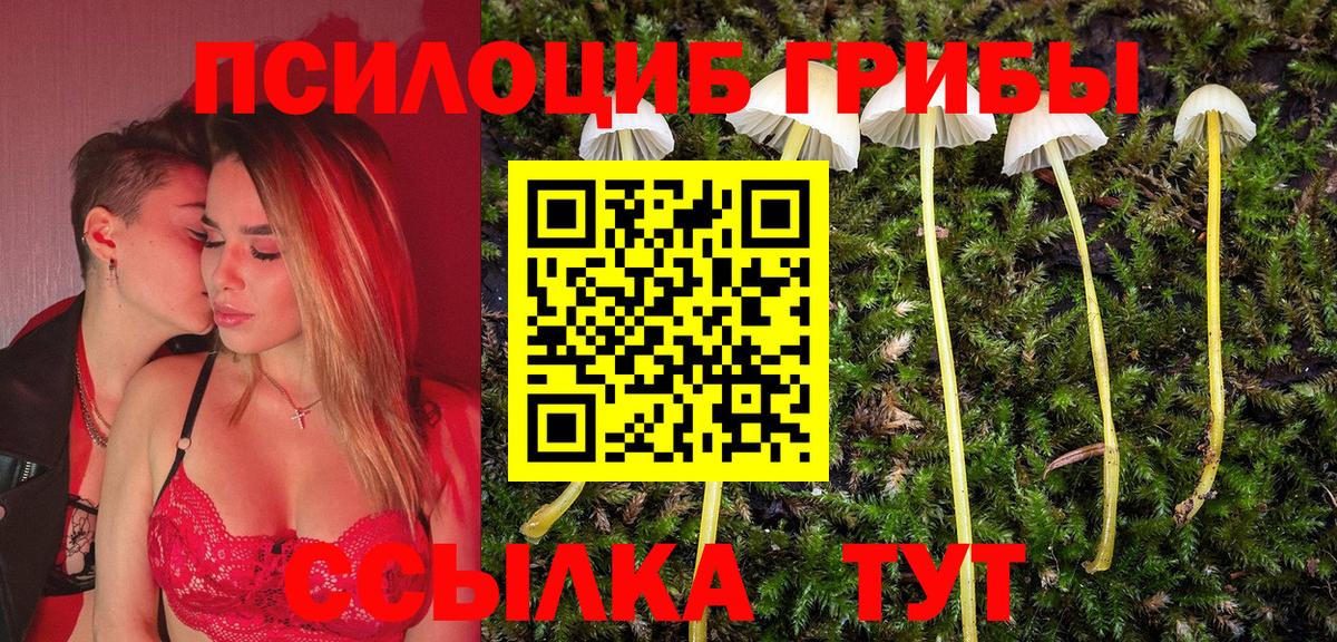 Псилоцибиновые грибы мицелий  Псилоцибиновые грибы прущие грибы  Вход с VPN  Североморск 