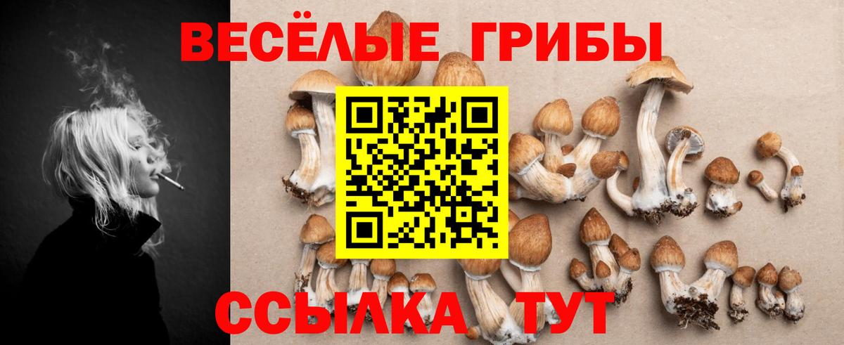 Галлюциногенные грибы Cubensis Североморск